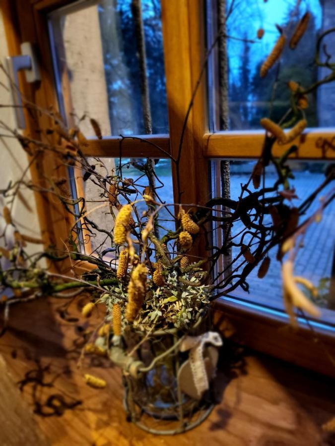 Ferienhaus Drakenhof บาดซัลซูเฟลน ภายนอก รูปภาพ